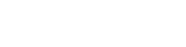 Sentry Secure Logo